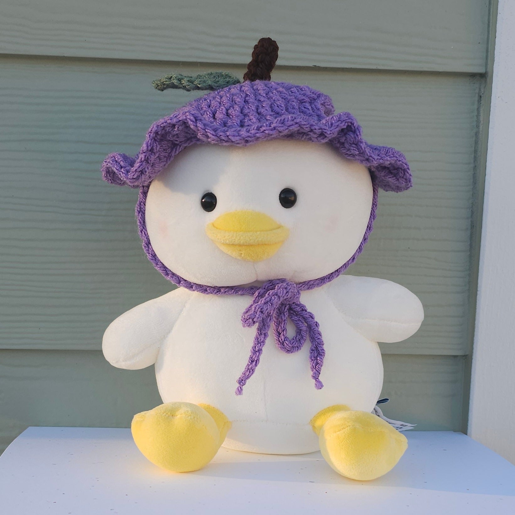 A duck plushie wearing a purple grape shaped crochet hat with a green leaf and a brown steam on top of the hat