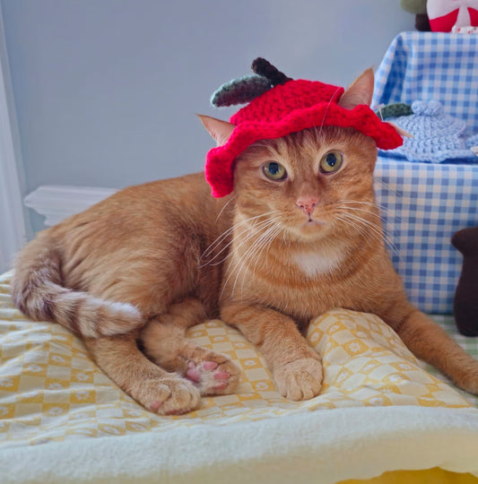A duck plushie wearing a red apple shaped crochet hat for cats 