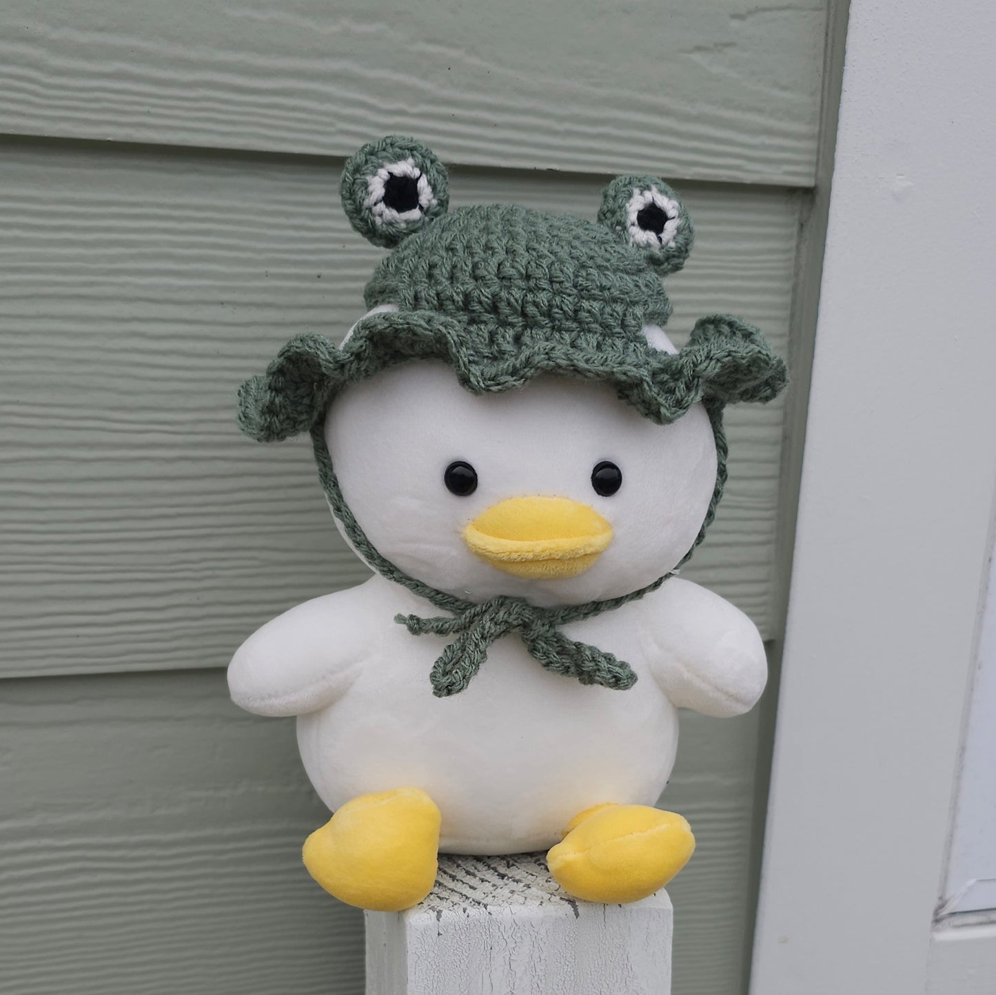 Froggy Hat