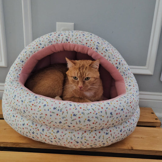 Kitty Cave