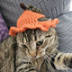 Pumpkin Hat